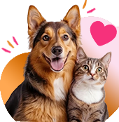 book demo for pet application
